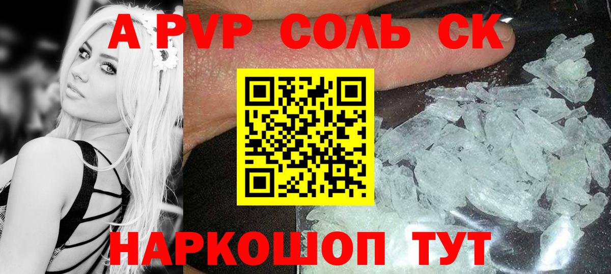 A PVP СК КРИС Петровск