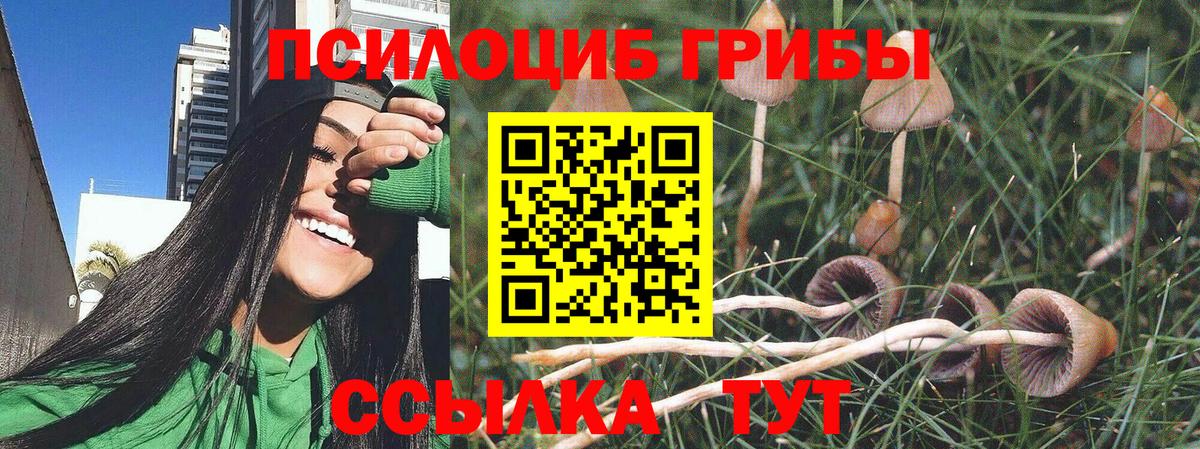 Галлюциногенные грибы мицелий Петровск