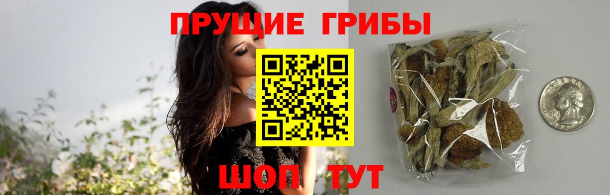 где купить наркотик  Вход с VPN  Петровск  Галлюциногенные грибы Magic Shrooms 